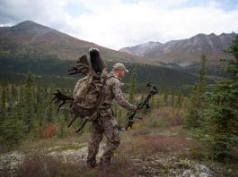 Buying A Backpack Aron pic