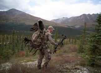 Buying A Backpack Aron pic