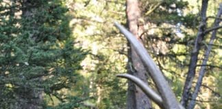 JARED BLOOMGREN Jaredbio2