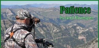 Patience intro