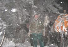 Horses, Mountains, and Mule Deer robby2