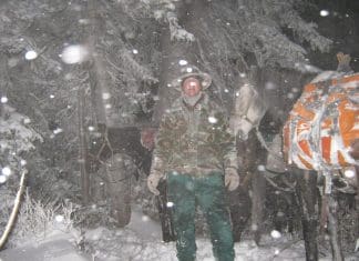 Horses, Mountains, and Mule Deer robby2