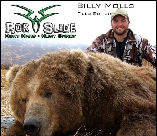 BILLY MOLLS billymolls