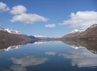 A Season of A Grizzly Guide billymolls1