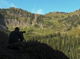 What are we looking for? glassingpic