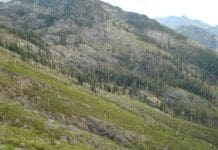 Long Range Shooting: What is Your Maximum Effective Hunting Range? longrange1