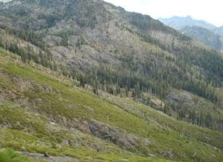 Long Range Shooting: What is Your Maximum Effective Hunting Range? longrange1