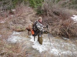 Wiggy’s Waders wiggy3