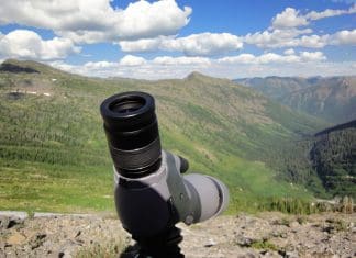 What We AREN’T Looking For glassing