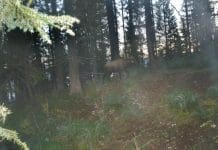 Low Impact Elk Hunting Fitness dsc010605