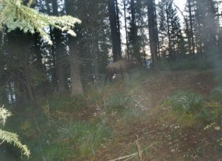 Low Impact Elk Hunting Fitness dsc010605