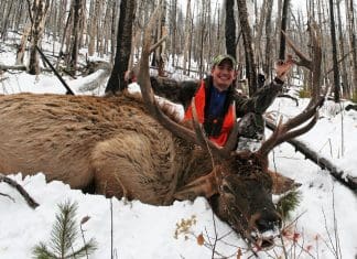 “Extended” Range Riflescope Showdown lrbull