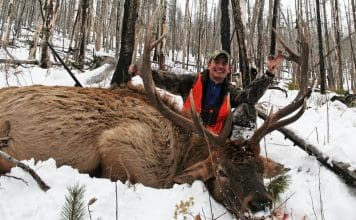 “Extended” Range Riflescope Showdown lrbull