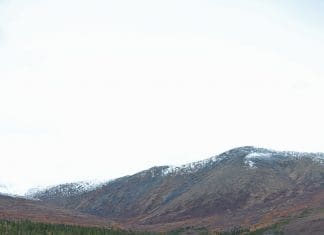 Battle of the Big Eyes akdiascope