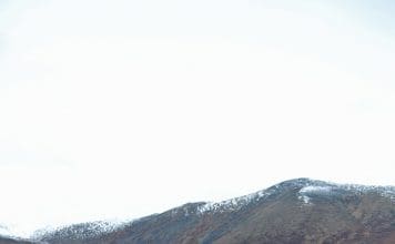 Battle of the Big Eyes akdiascope