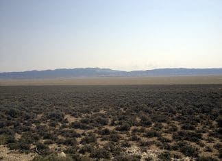 Pony Express Pronghorn desert
