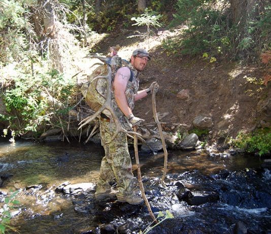 The “Trick-Pin” System packn bull