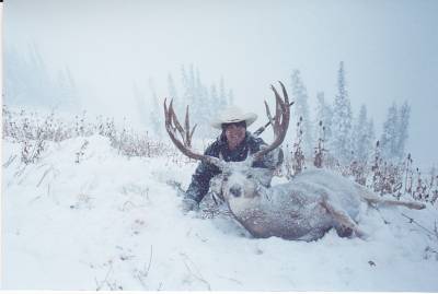 Killing Big Mule Deer: Tracking - Rokslide
