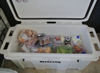 Beat the Heat! Cool Strategies for ICE Conservation Keepin' Cool