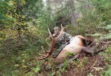 Fitness to Get You Over the Hill at any Age! Ross with one of two 2013 Bulls!