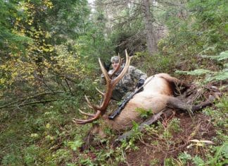 Fitness to Get You Over the Hill at any Age! Ross with one of two 2013 Bulls!
