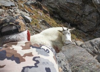 Telling Your Story Part II You have the camera but you have to use it to capture great moments