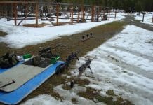 Rehearsing the Long Range Shot The author's 100 yard test range