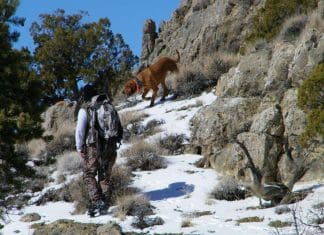 Six Year Quest – My First Lion Bryan and Mitch hunting Lion in Nevada