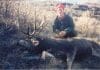 Killing Big Mule Deer: Obeying the Wind Co-Buck.jpg