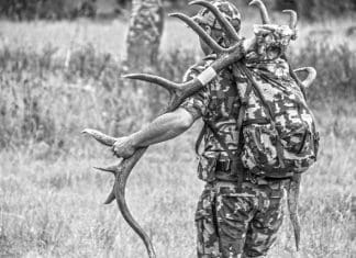 A Season with an Icon – KUIU’s Icon 1850 Pack System KUIU-1850 KT Bull