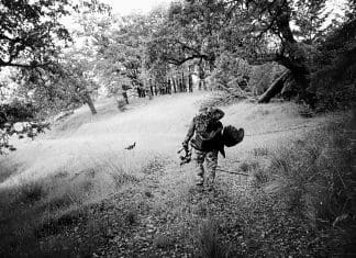 Turkey 101 BW-TurkeyDream