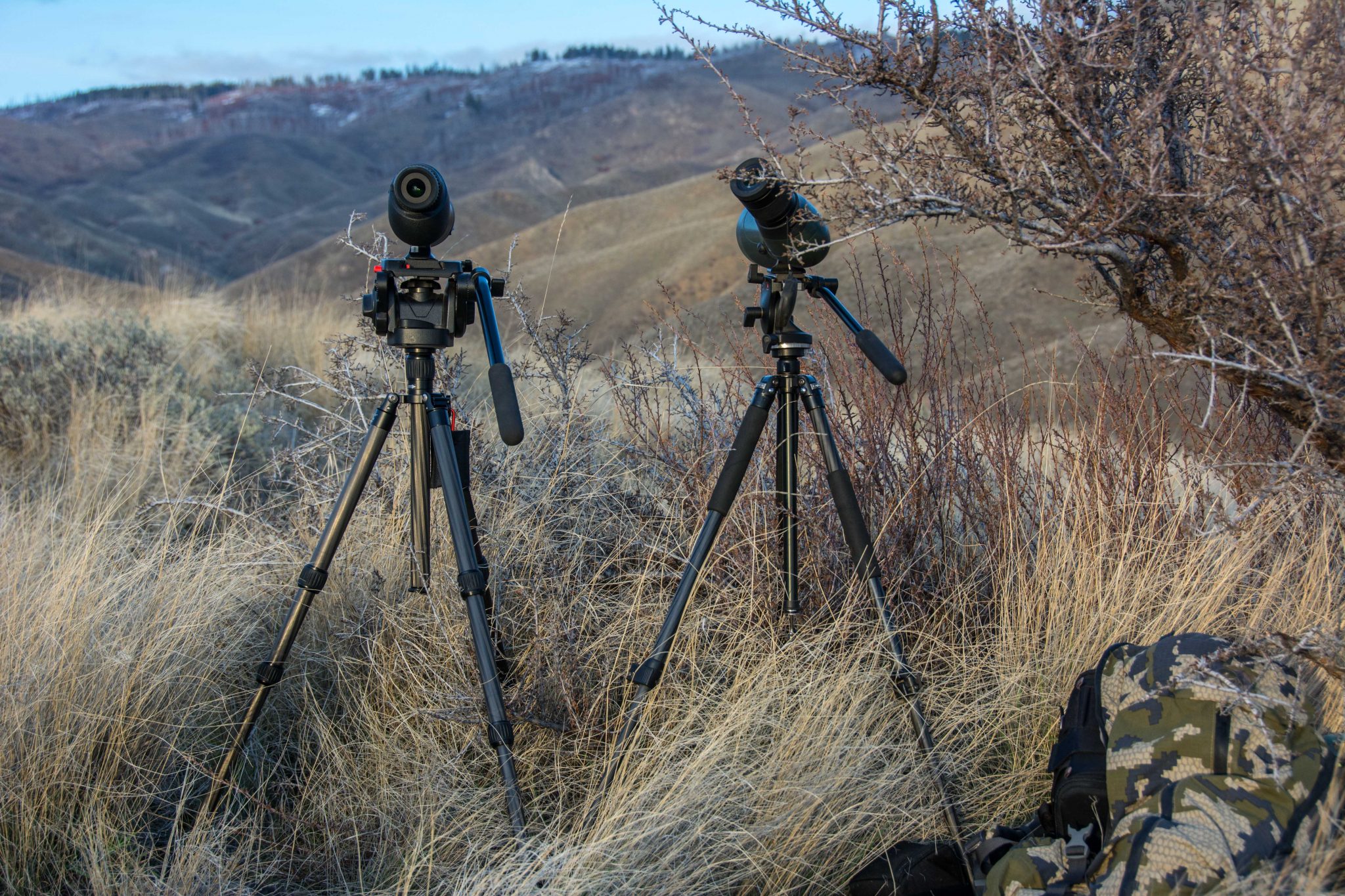 Glassing with both scopes