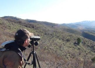 Killing Big Mule Deer: Glassing DSC00514.JPG