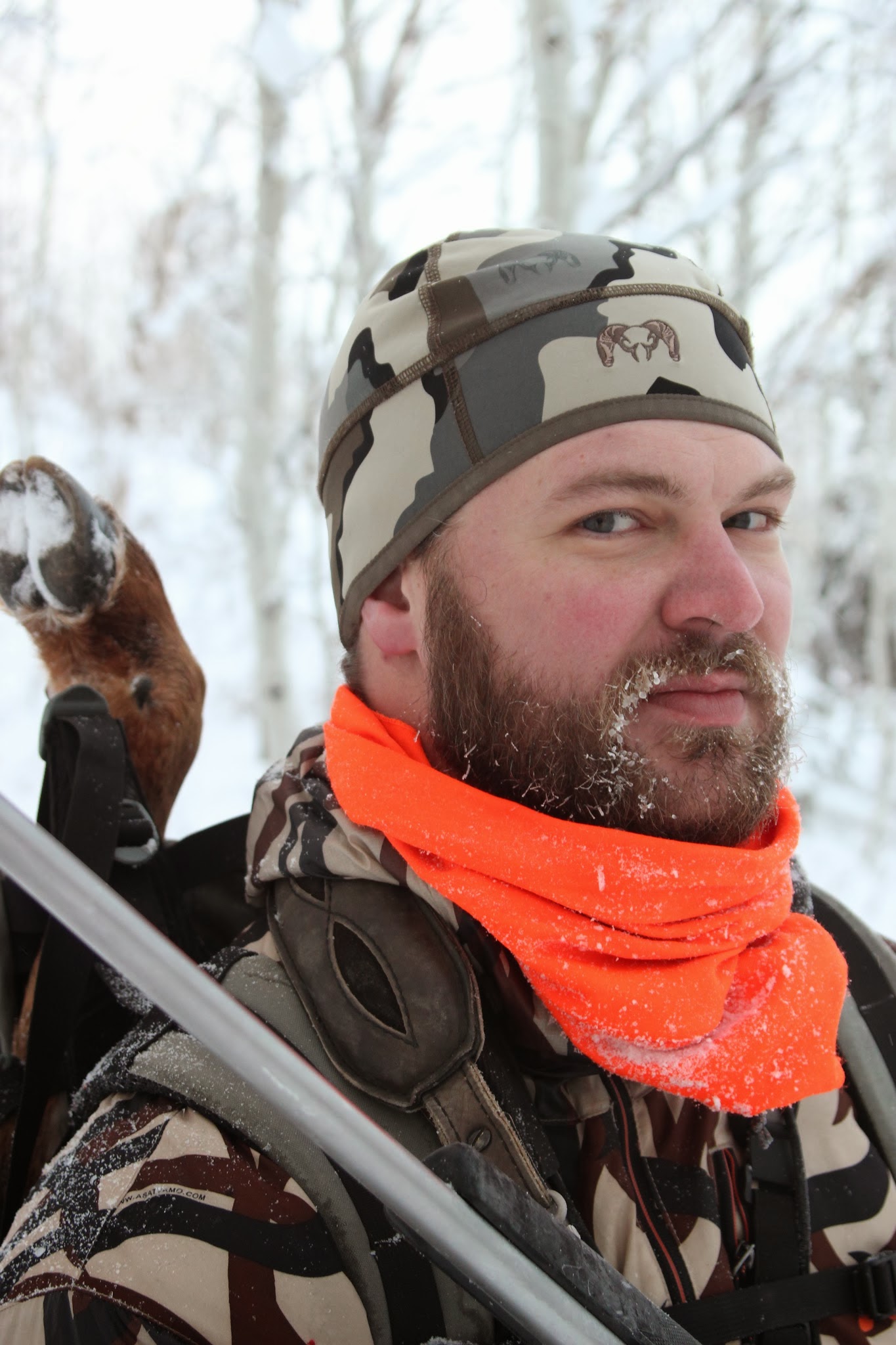 Frosty Beard