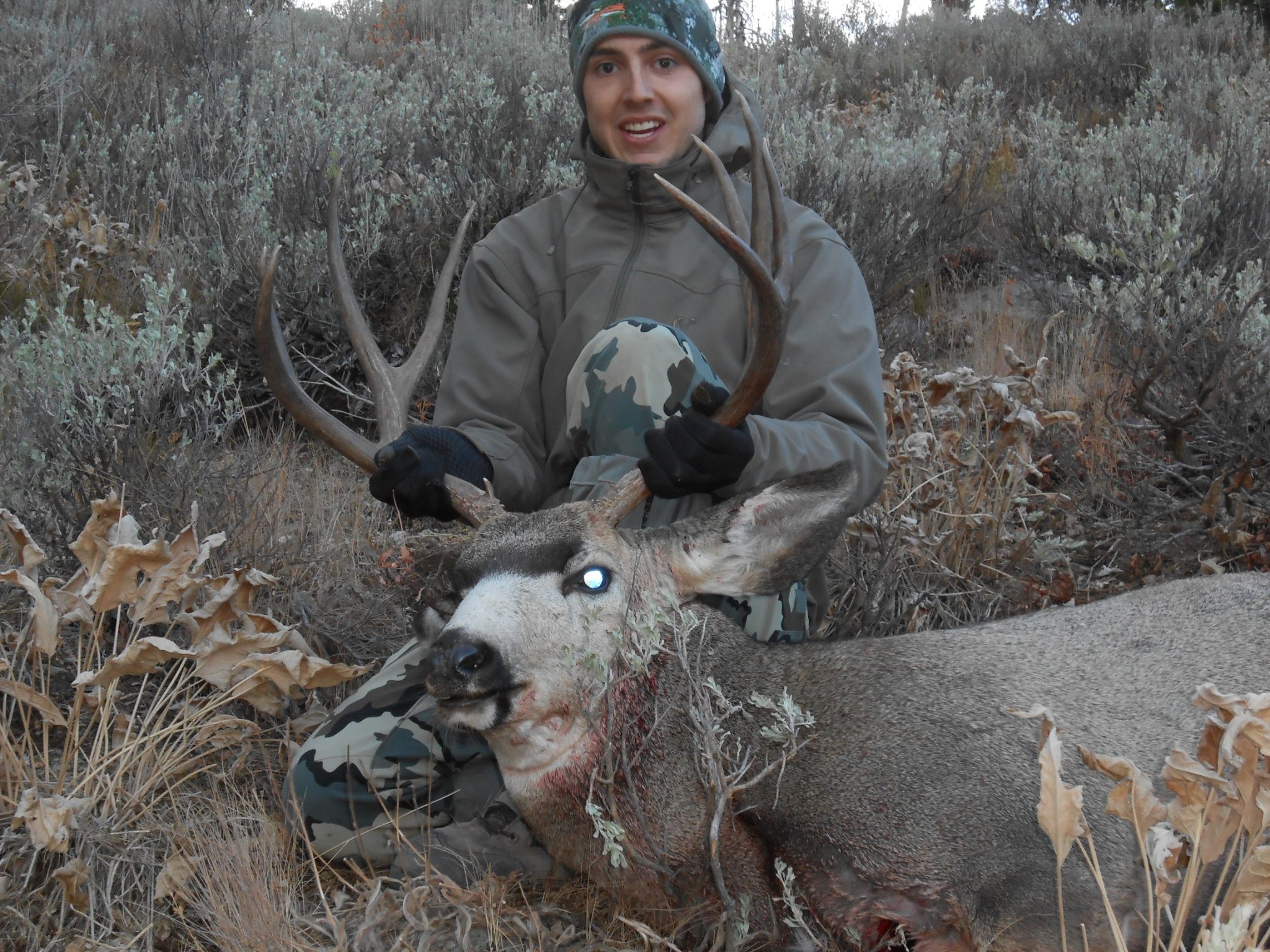 Brock's backcountry Idaho muley