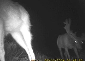 Scouting: Crops, Fishing, & Traplines Jale_20150302-181402_1.jpg