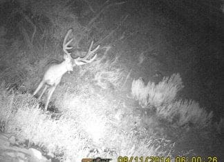 Jalapeño Live Hunt Day 4 PICT0006.JPG