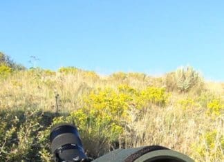 Jalapeño Live Hunt Day 9 & a Confession DSC00829.JPG