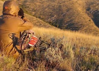 Jalapeño Live Hunt Day 6 DSC00837.JPG