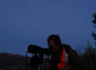 Colorado Live Hunt, Day 2 DSC00852.JPG