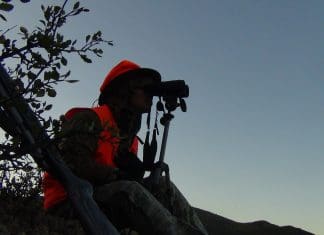 Colorado Live Hunt, Day 4 DSC00869.JPG