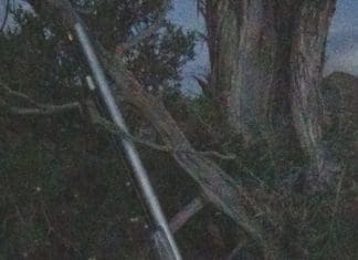 Colorado Live Hunt, Day 5 DSC00876.JPG