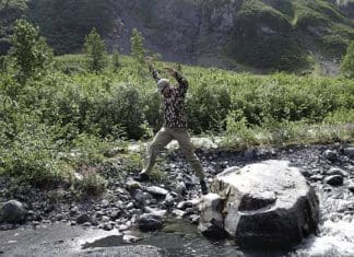 Soft Shell Bonanza Leading photo or photo 1