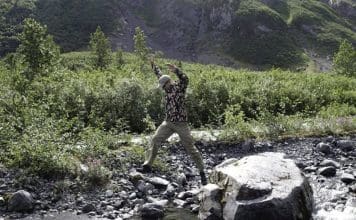 Soft Shell Bonanza Leading photo or photo 1