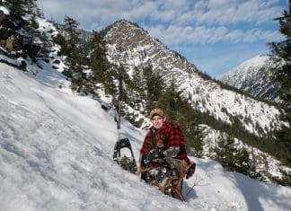 One Season, Three Bulls Ross1