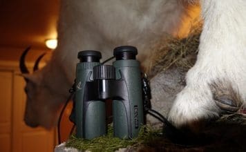 The Perfect Backcountry Companion DSC01716