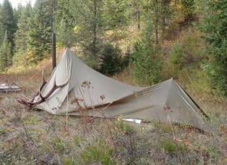 One Season, Three Bulls Part 2 RR1