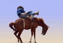 Got Harses? Training for Rope Under the Tail Bucking-horse.jpg