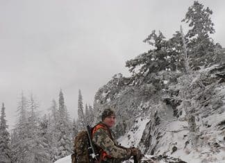 One Season, Three Bulls Part 3 ross5