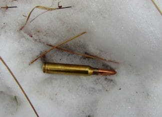 Backcountry Mule Deer Hunt: Day 7 Bullet-in-Track-pic-for-blog.jpg